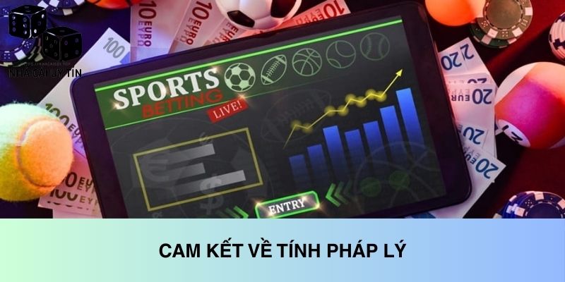 Giới Thiệu 3 Cam kết tính pháp lý của trang web