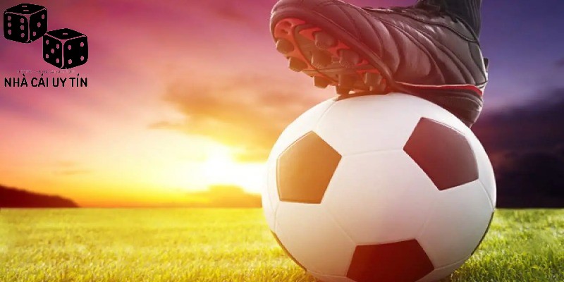 Hiểu rõ các đội sẽ thi đấu