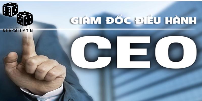 Liên tục cập nhật nhiều nội dung mới mẻ tại website